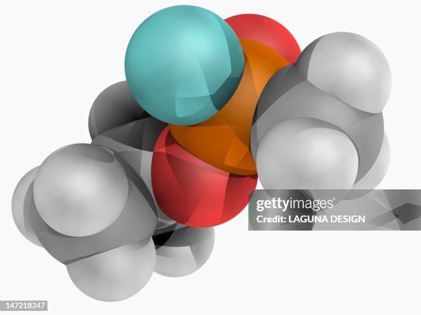 Sarin Lab 2,342 Sarin Stock Photos, High-Res Pictures, and Images - Getty Images