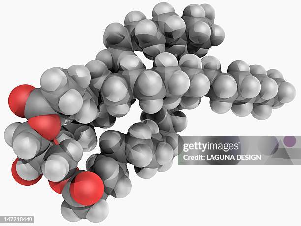 ilustraciones, imágenes clip art, dibujos animados e iconos de stock de triglyceride molecule - ácido grasos