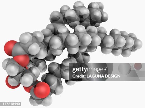 Triglyceride molecule Triglyceride molecule