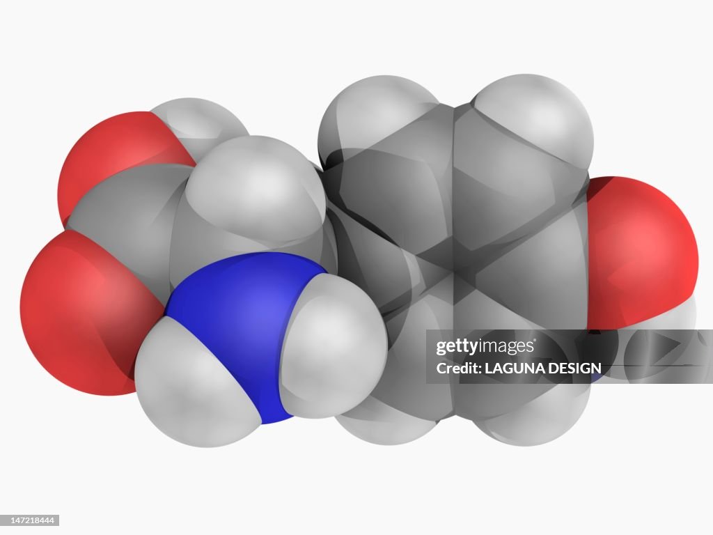 Tyrosine molecule