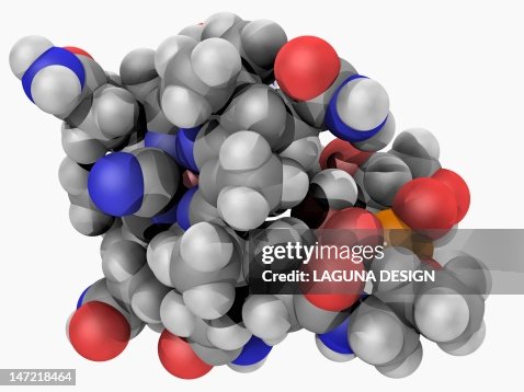 Vitamin B12 (cobalamin) molecule Vitamin B12 (cobalamin) molecule
