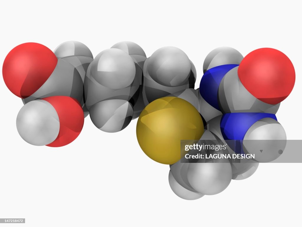 Vitamin B7 (biotin) molecule
