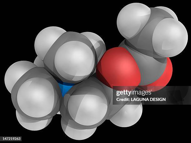acetylcholine molecule - acetylcholine stock illustrations