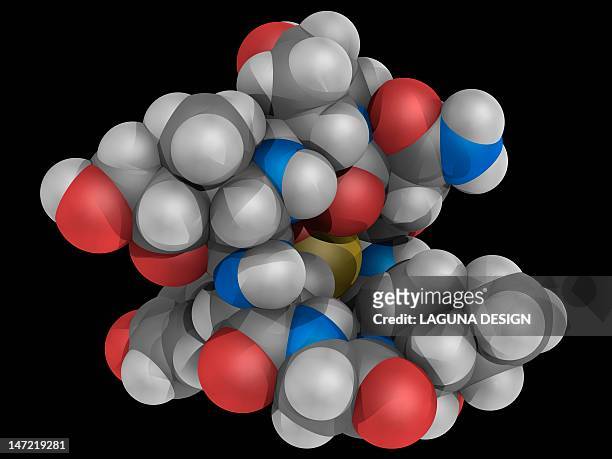 alpha-amanitin toxin molecule - toadstool stock illustrations