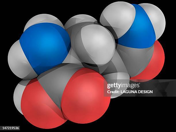glutamine molecule - glutamine stock illustrations