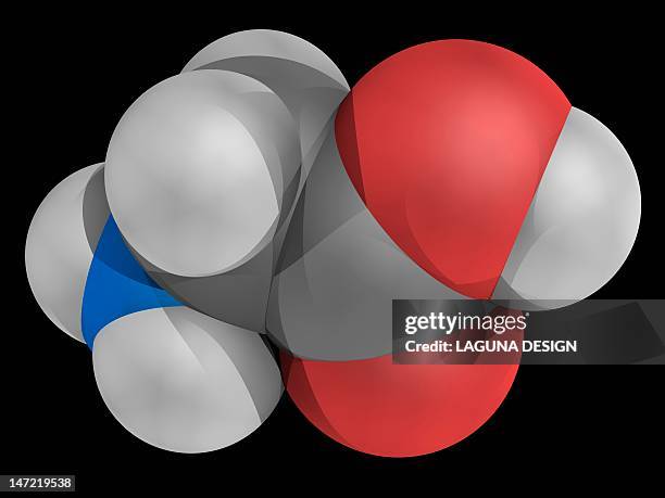 glycine molecule - legume family stock illustrations