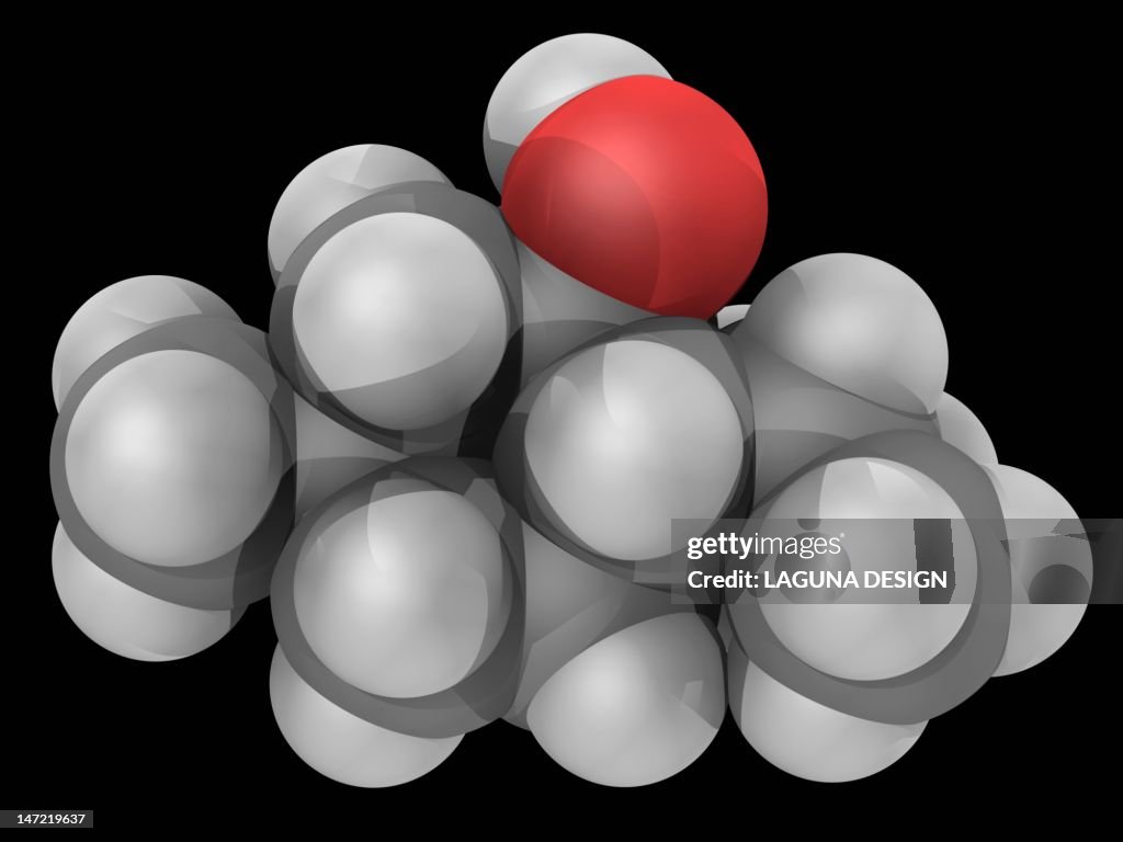 Menthol molecule