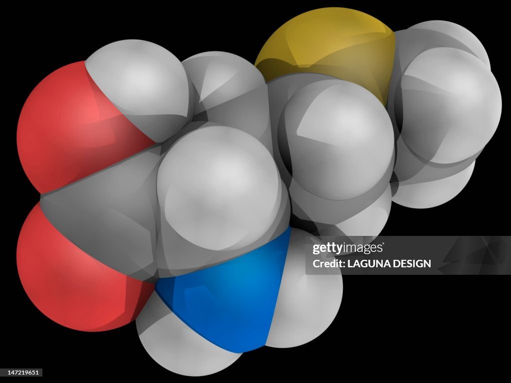 Methionine molecule