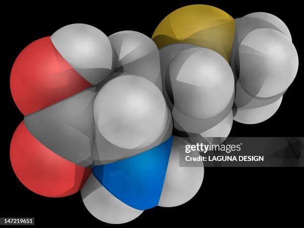 Methionine Molecule High-Res Vector Graphic