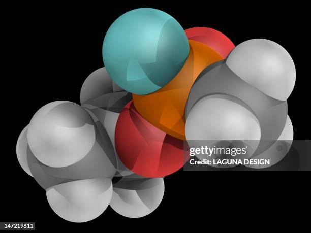 Sarin Lab 2,212 Sarin Stock Photos, High-Res Pictures, and Images - Getty Images