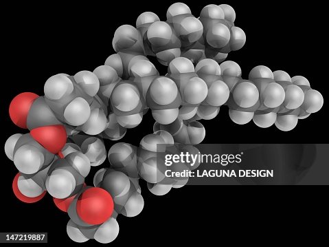 Triglyceride molecule Triglyceride molecule