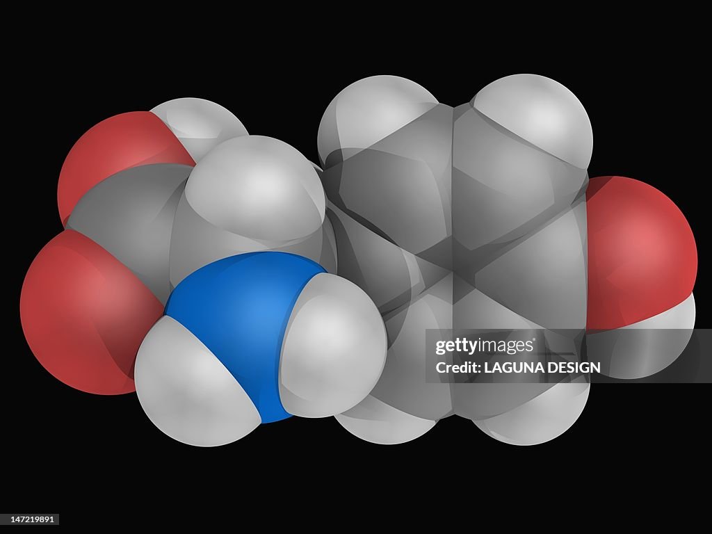 Tyrosine molecule