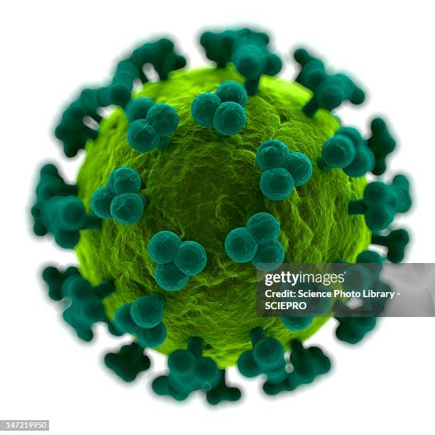 hiv particle, artwork - retrovirus stock illustrations