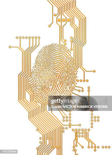 biometric security, artwork - network coverage stock illustrations