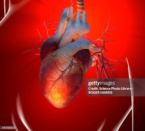 heart attack, conceptual artwork - cardiovascular system stock illustrations