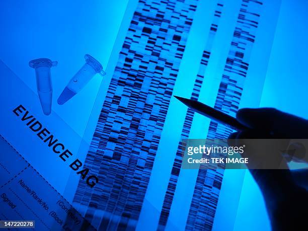 forensic evidence - forensic science lab stock pictures, royalty-free photos & images