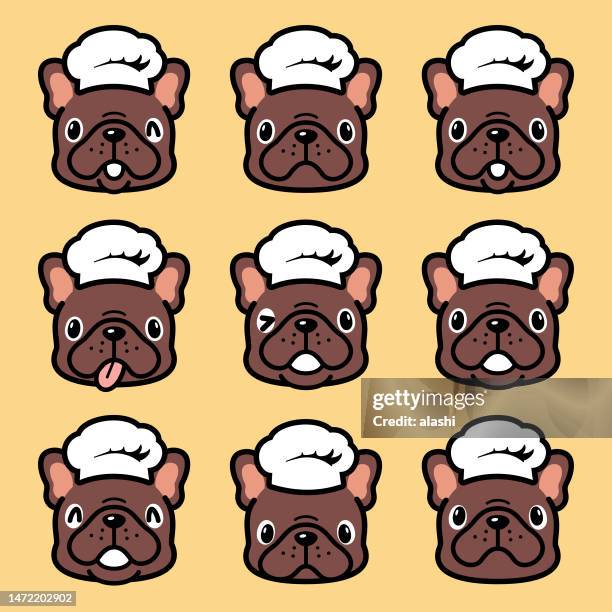 cute facial expression icon of the french bulldog puppy wearing a chef hat - chocolate face stock illustrations