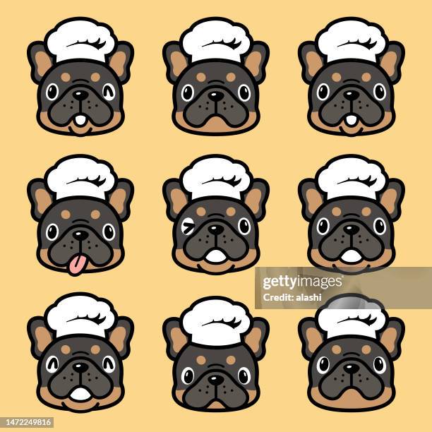 niedliche gesichtsausdrucksikone des französischen bulldoggenwelpen mit kochmütze - hundeknochen stock-grafiken, -clipart, -cartoons und -symbole