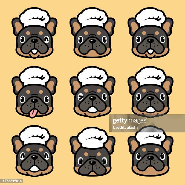 niedliche gesichtsausdrucksikone des französischen bulldoggenwelpen mit kochmütze - looking back stock-grafiken, -clipart, -cartoons und -symbole