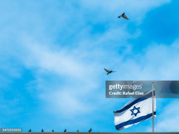 flag of israel against the sky, flying birds - palestine israel conflict stock-fotos und bilder