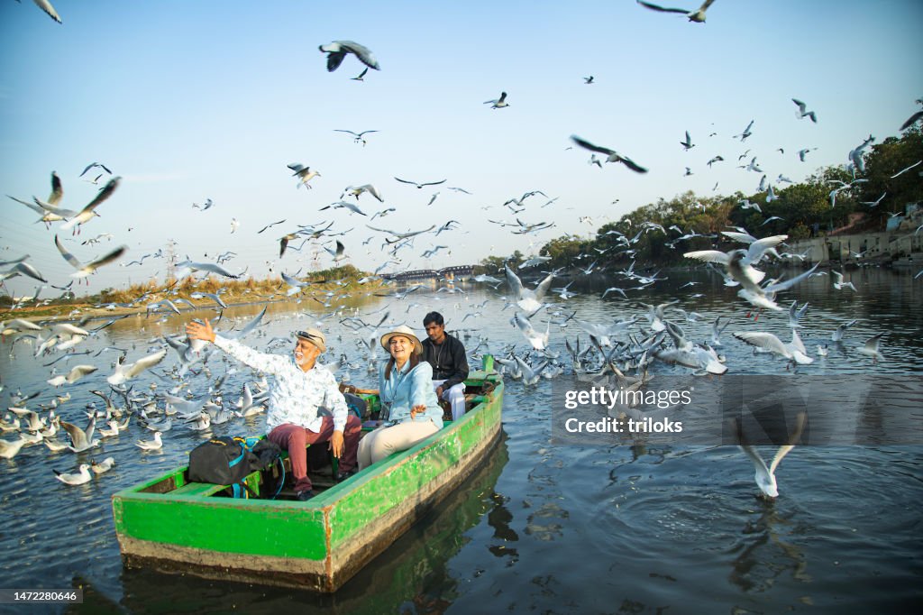 Old couple traveling on boat at lake with flock of birds in air
