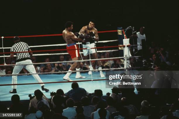 Heavyweight champion George Foreman and challenger Muhammad Ali compete in the 'Rumble in the Jungle' World Heavyweight Title fight in Kinshasa,...