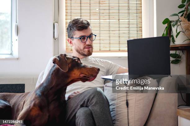 young man having online medical consultation with veterinary - ドーベルマン ストックフォトと画像