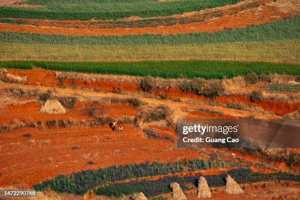 colorful red soil land,  dongchuan, yunan - solo vermelho - fotografias e filmes do acervo