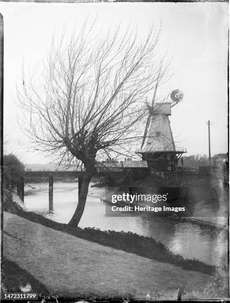 Rye Windmill, Ferry Road, Rye, Rother, East Sussex, 1905. A view of a Willow tree on a bank of the River Tillingham with Rye Windmill beyond. The...