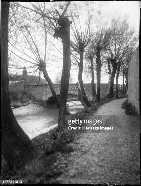 Rye, Rother, East Sussex, 1905. A row of pollarded Willow trees on a bank of the River Tillingham with the bridge on Ferry Road beyond. Creator:...