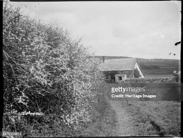 Burton Bradstock, West Dorset, Dorset, 1922. Looking along a footpath near Burton Bradstock towards a thatched cottage with a catslide roof at the...