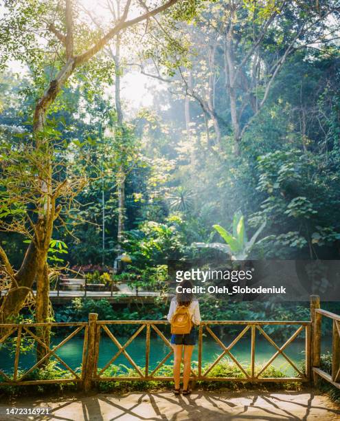 woman standing near the waterfall in tropical forest - kuang si falls stock pictures, royalty-free photos & images