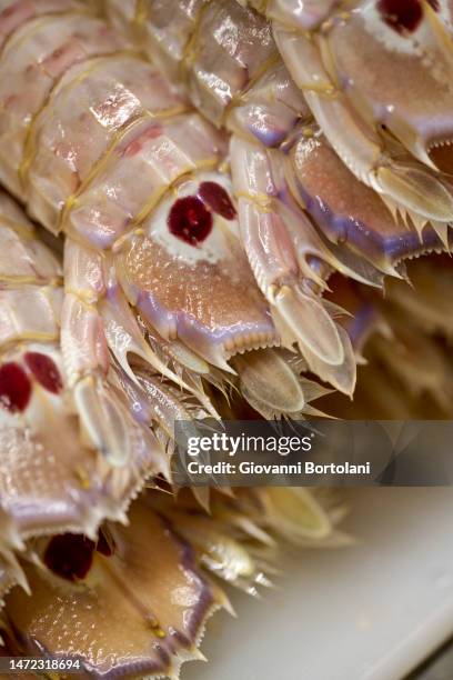 shrimp on the table - mantis shrimp stock pictures, royalty-free photos & images