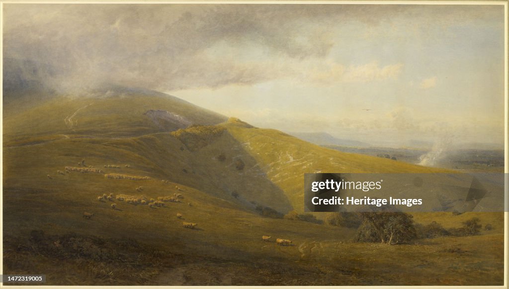A View On The South Downs