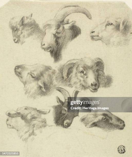 Sketches of Mountain Sheep, n.d. Possibly by Charles Landseer or Edwin Henry Landseer.