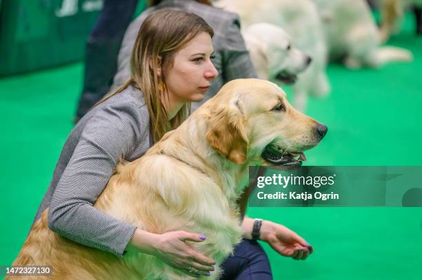 Golden Retriever and his owner wait for the judging on day 1 of CRUFTS Dog Show at NEC Arena on March 9, 2023 in Birmingham, England. Billed as the...
