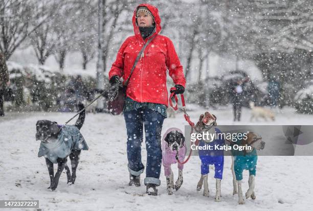 Dogs and their owners arrive on a chilly and snowy day 1 of CRUFTS Dog Show at NEC Arena on March 9, 2023 in Birmingham, England. Billed as the...