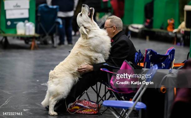 Man and his Golden Retriever wait for the judging on day 1 of CRUFTS Dog Show at NEC Arena on March 9, 2023 in Birmingham, England. Billed as the...