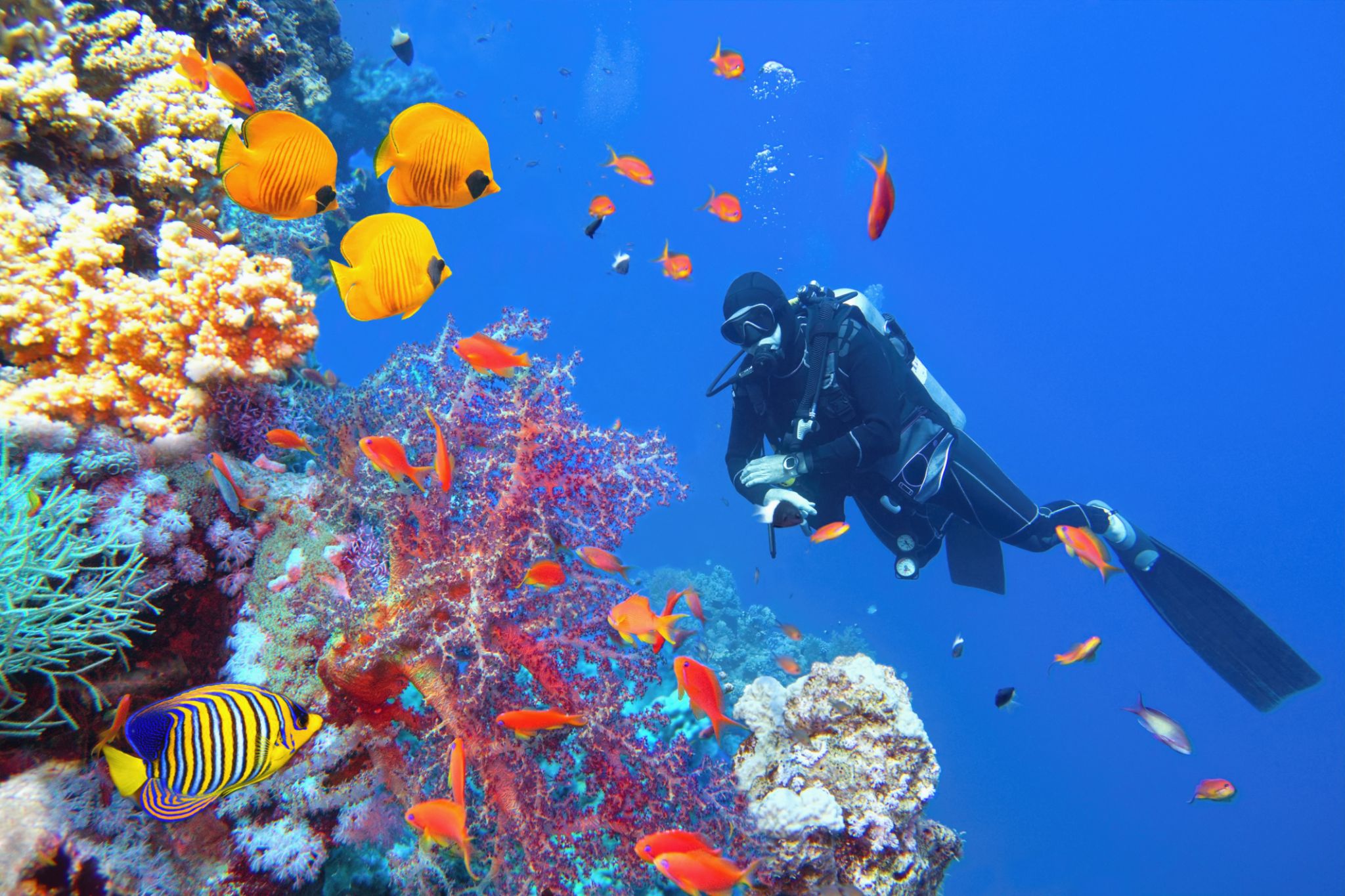 marsa alam scuba diving