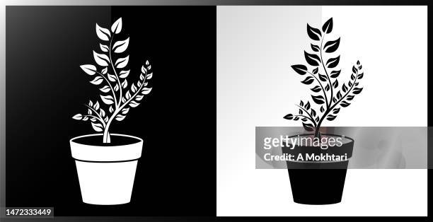 plant growth icon. - plant pot stock illustrations