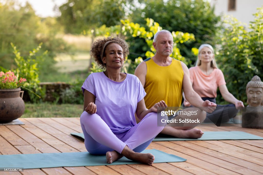 Grupo de adultos maduros meditando afuera