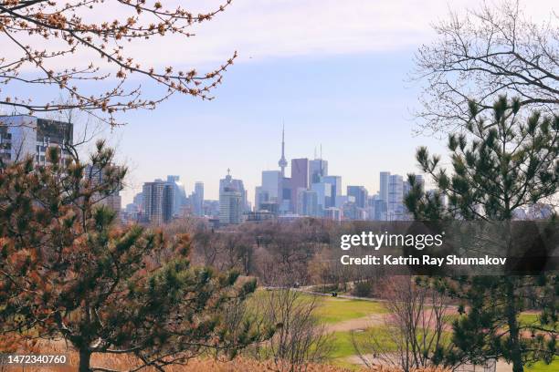 spring  in your toronto neighbourhood - riverdale park - riverdale stock pictures, royalty-free photos & images