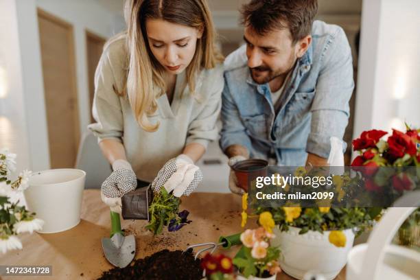 Man Planting Roses 13,120 Man Planting Flowers Stock Photos, High-Res Pictures, and Images ...