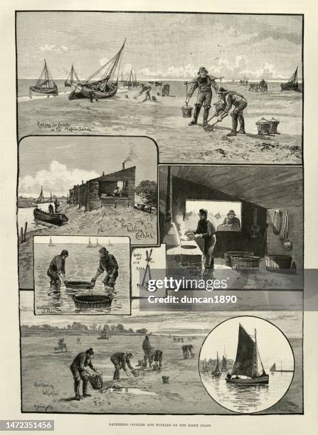 fishermen gathering cockles and winkles on the essex coast, boiling in a cockle hut, 19th century - essex stock illustrations