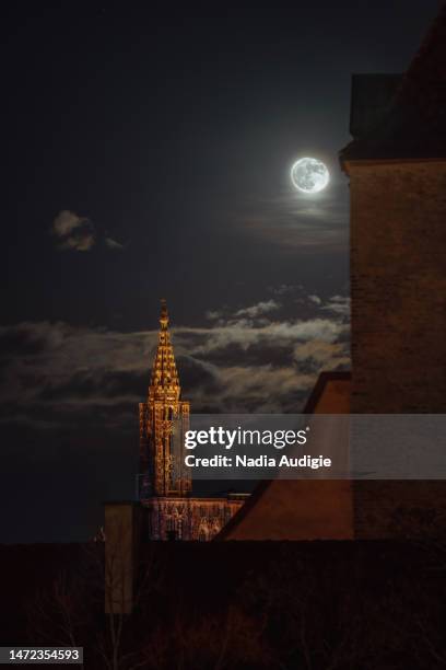 strasbourg cathedral at night with moon - christian audigie stock pictures, royalty-free photos & images