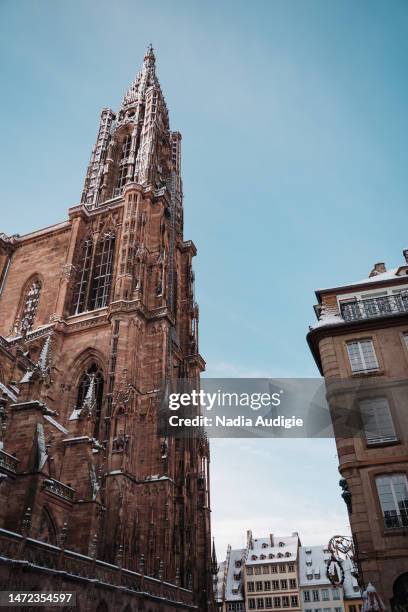 strasbourg cathedral in the snow - christian audigie stock pictures, royalty-free photos & images