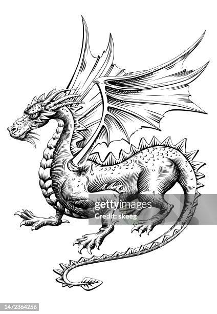 ilustraciones, imágenes clip art, dibujos animados e iconos de stock de dragón woodcut_3 - dragón
