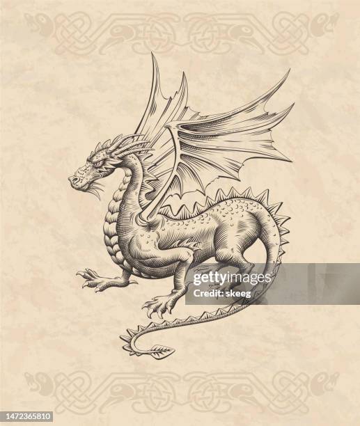 ilustraciones, imágenes clip art, dibujos animados e iconos de stock de color xilografía dragón - dragón