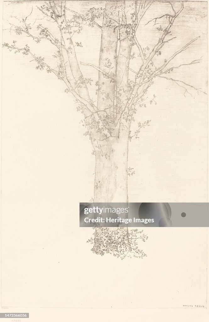Arbre (Tree)