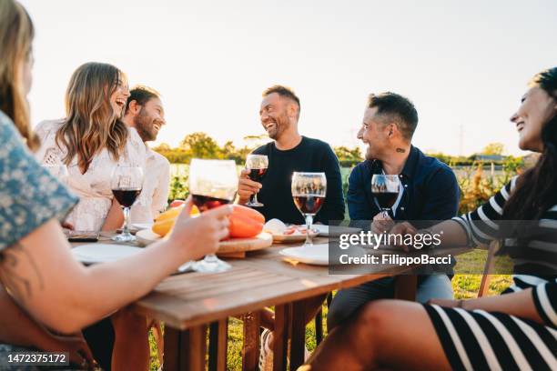friends are having fun together at a dinner party in the backyard - prova de vinho imagens e fotografias de stock